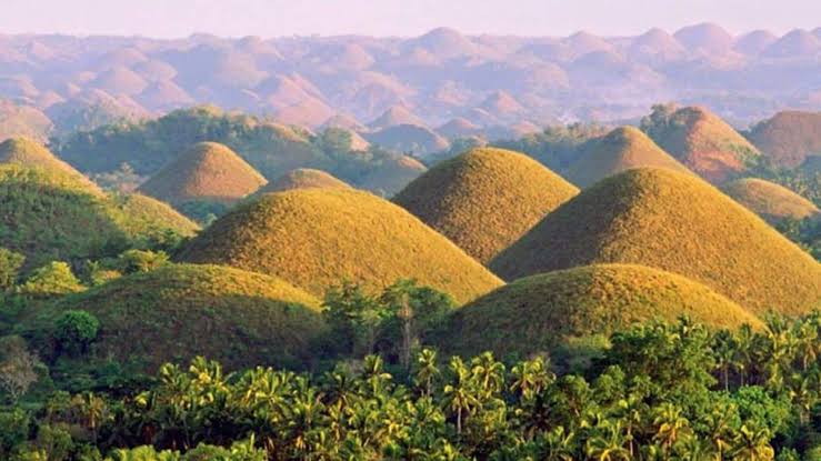 Chocolate Hills in Bohol