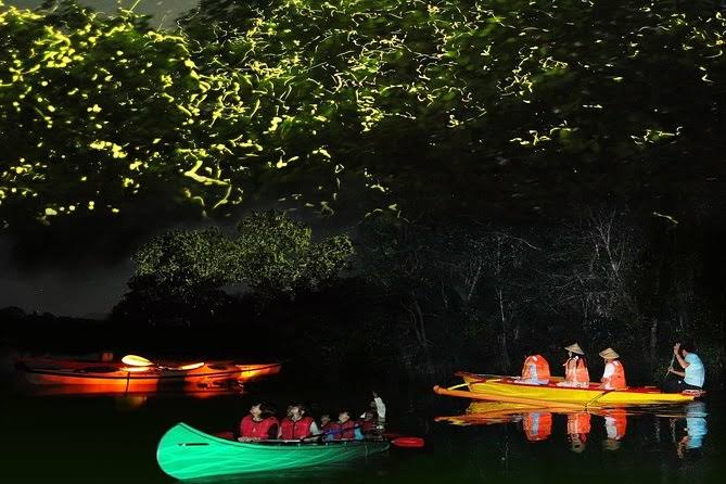 Firefly Watching in Bohol