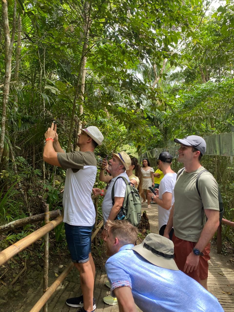Tarsier encounter