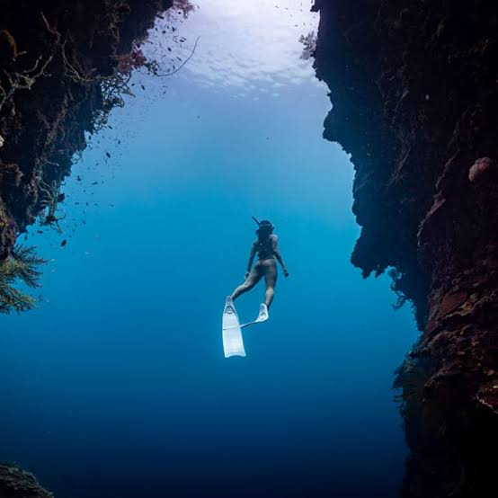 Guest free-diving