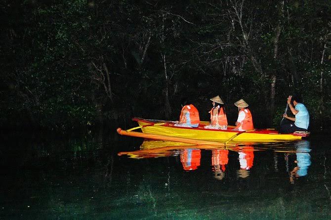 Firefly night tour